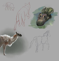 Animal Studies
