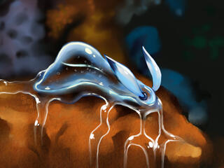 Guui ( 2016 ) for Velos CCG